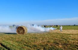 Refuerzan la fumigación en las localidades