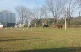 Pasó la tercera edición de "Donde haga la vaca"