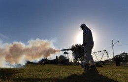 Campaña de fumigación