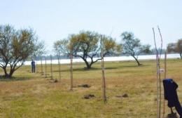 Plantaron árboles autóctonos en el Paseo Viva el Río "Leandro Mansila"