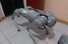 Estudiantes de P&eacute;rez Mill&aacute;n construyeron su propio robot y alcanzaron el cuarto puesto nacional