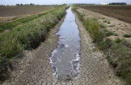 Piden declarar la emergencia agropecuaria