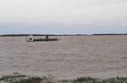 Ganaderos en alerta por la creciente del Paraná