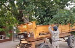 Proponen crear una Comisión para monitorear el pase a planta de los trabajadores municipales