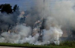 Incendio en la explanta de biodiesel Fox Oil