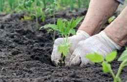 Taller agroecológico en Ramallo Pueblo