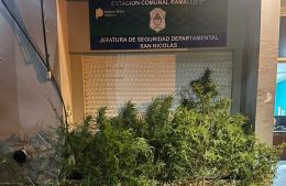 Villa Ramallo: buscaban objetos robados, encontraron marihuana