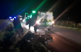 Múltiples accidentes por presencia de animales en el Camino de la Costa