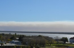 El municipio explicó los alcances de la denuncia por los incendios en las islas