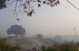 Continúa la presencia de humo sobre la ciudad