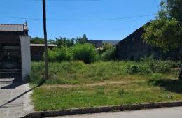 Ya se enviaron más de 100 notificaciones por terrenos baldíos sin mantenimiento