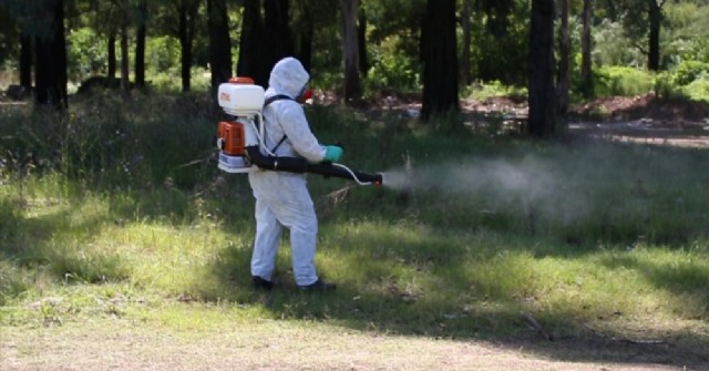 Campaña de fumigación para prevenir el dengue