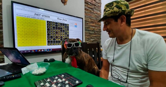 Comerciante ingenioso creó un bingo virtual que divierte a los vecinos cada noche
