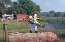 Confirman un tercer caso de dengue