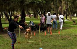 La Escuela Canina Municipal presenta nuevos cursos