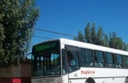 Cambios en los horarios de los colectivos