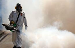 Doble jornada de fumigación