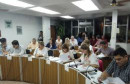 El Concejo Deliberante declaró la "Emergencia Tarifaria"