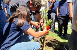 Plan de Forestación Municipal: la Técnica N° 3 sumó árboles