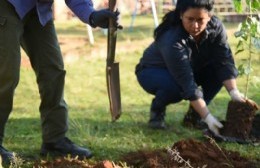 La Municipalidad invita a la comunidad a plantar árboles autóctonos