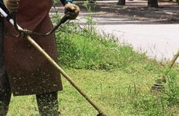 Acciones de prevención contra el hantavirus