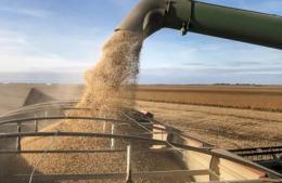 Productores de Ramallo advierten que la baja de retenciones llega tarde para los más pequeños