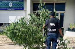 Esclarecen robo en Villa Ramallo