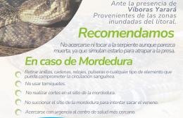 Víboras Yarará en las zonas inundadas