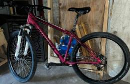 Recuperaron en San Nicolás una bicicleta robada en Villa Ramallo