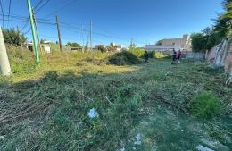 Cómo funciona el régimen de sanciones a baldíos