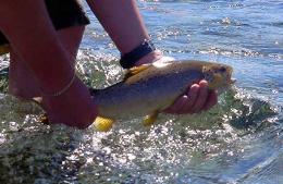 Concurso de Pesca con Devolución