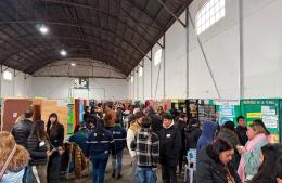 Tres escuelas de Ramallo avanzaron a la etapa provincial de la Feria de Ciencias