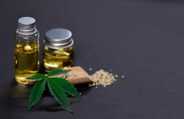 CBD y envejecimiento saludable: lo que investiga la ciencia en 2025