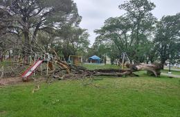 Destrozos tras la tormenta