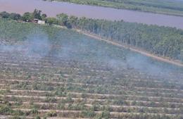 Operativo de gran magnitud por incendio forestal en Costa Pobre